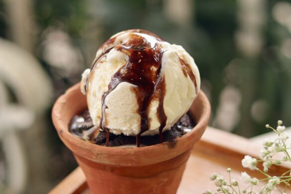 Sweet Indulgence: Top Chocolate Picks for World Chocolate Day